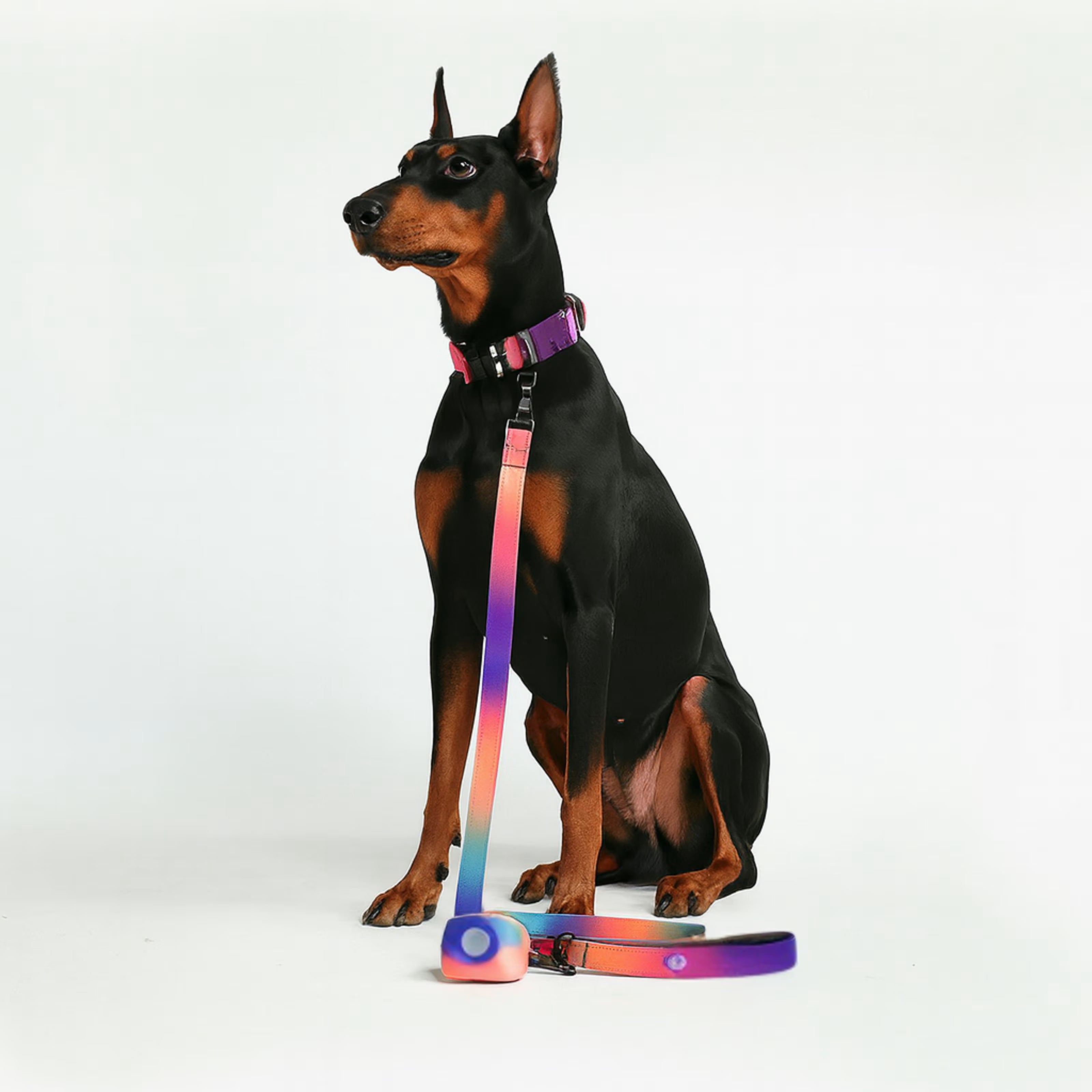 No-Pull tactical leash