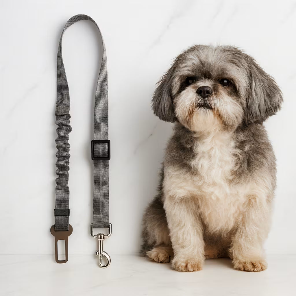 PetBuckle™