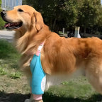 PupCover Leg Sleeve