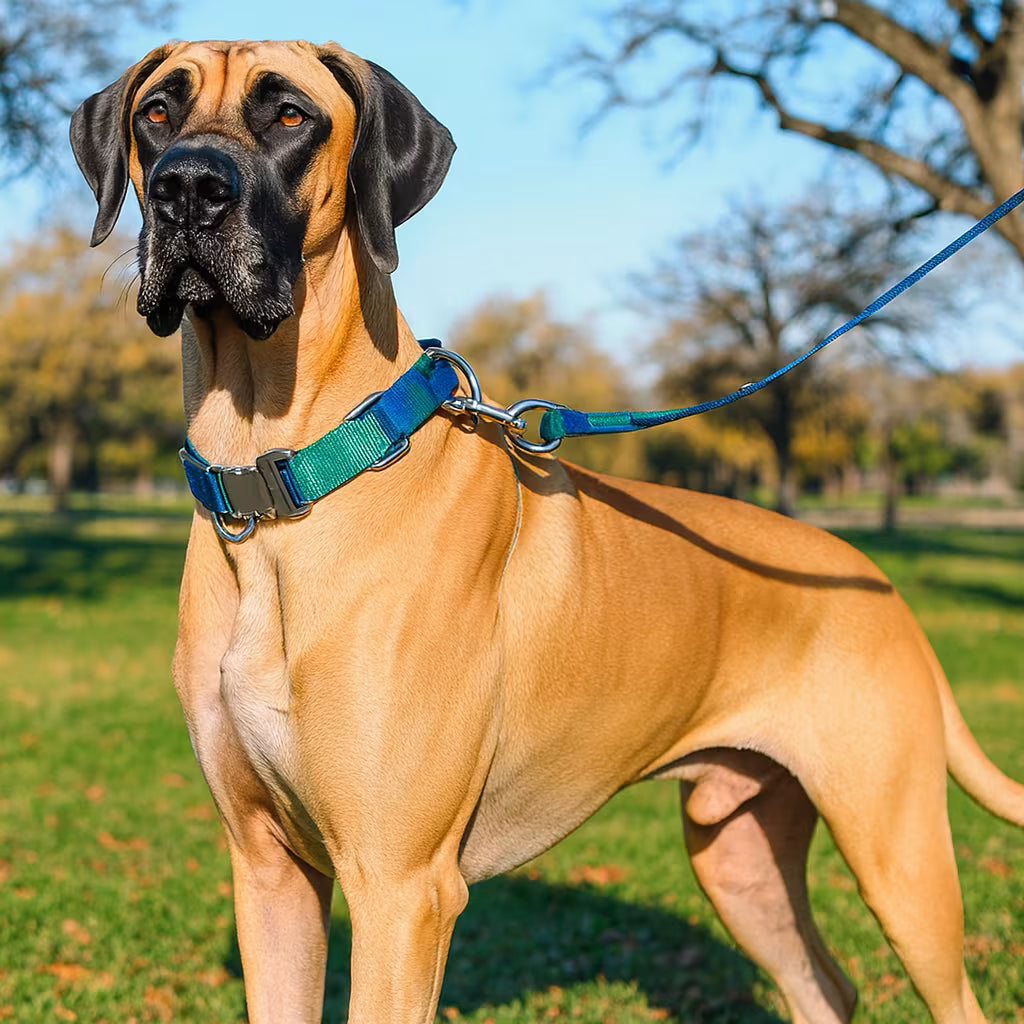 No-Pull tactical leash