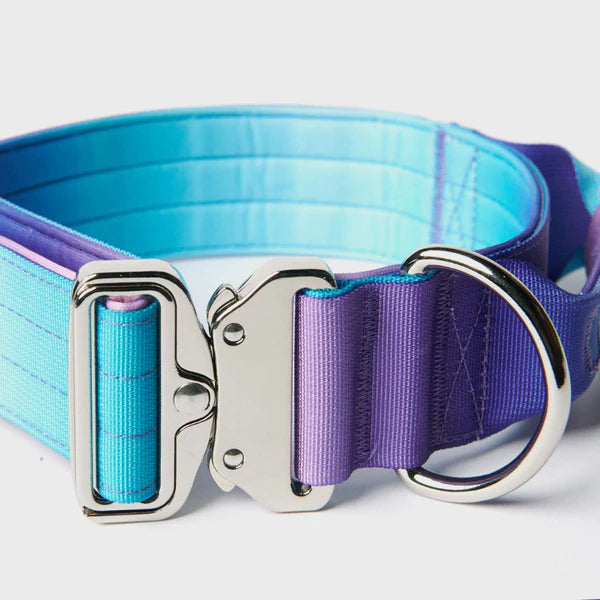 No-Pull tactical leash