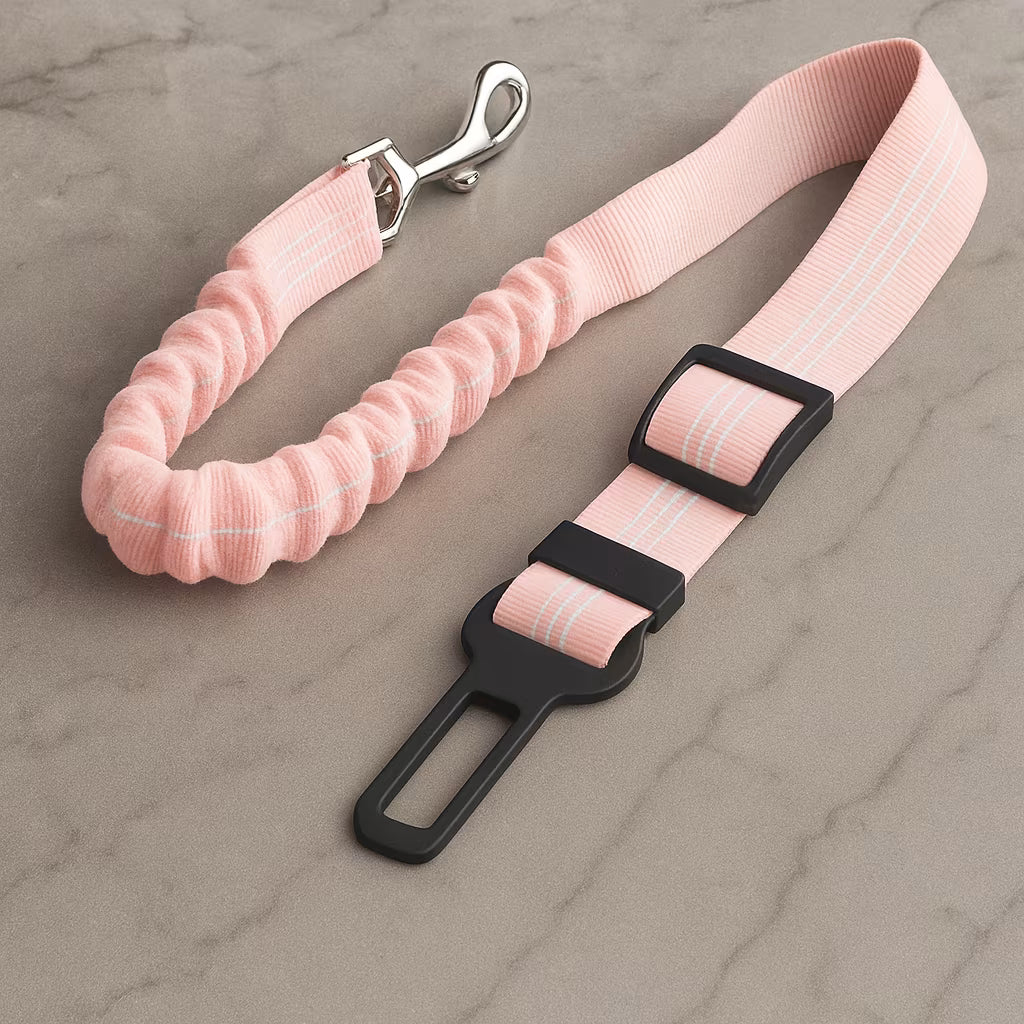 PetBuckle™
