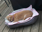 CoolPup Pad™ Pet Colling Pad