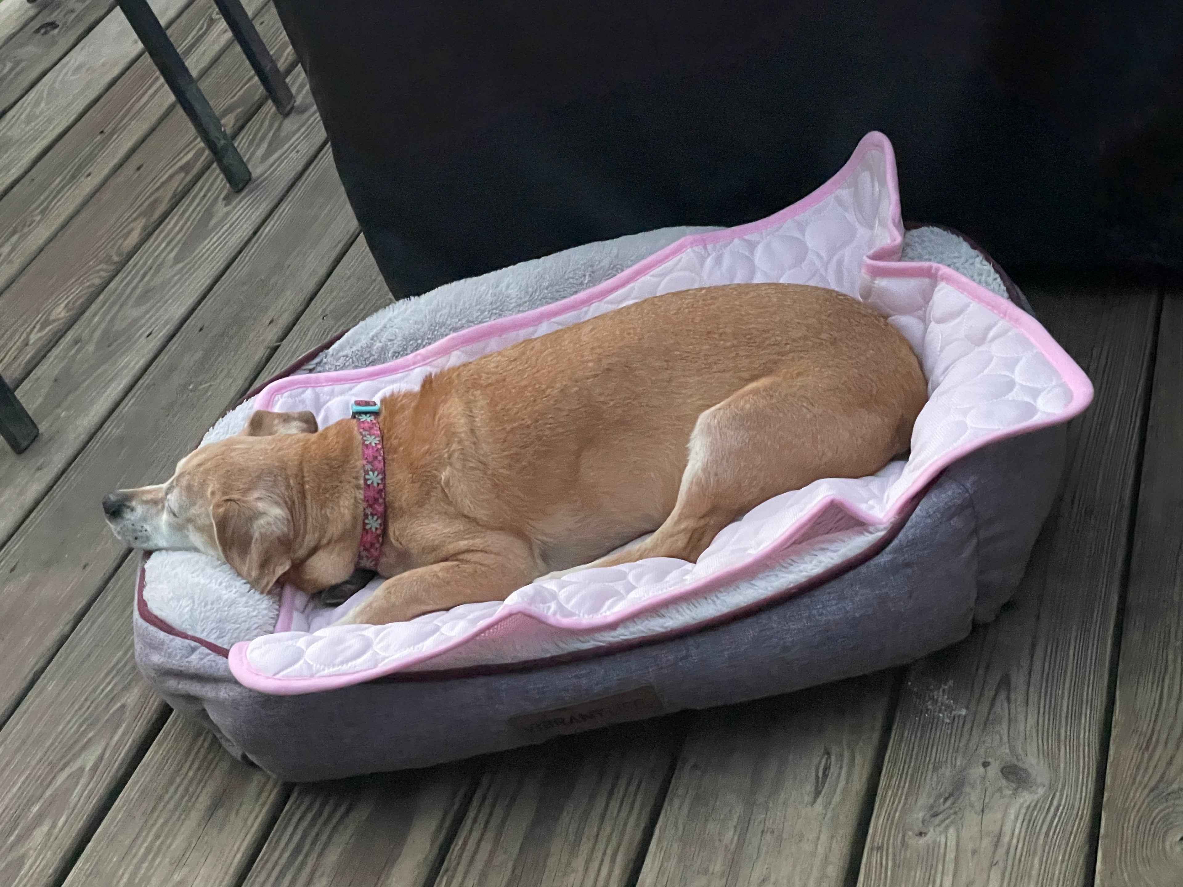 CoolPup Pad™ Pet Colling Pad