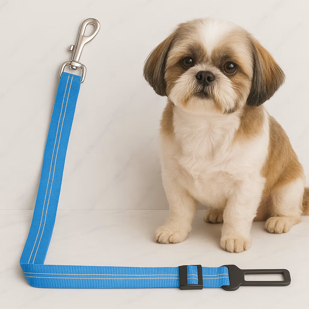 PetBuckle™