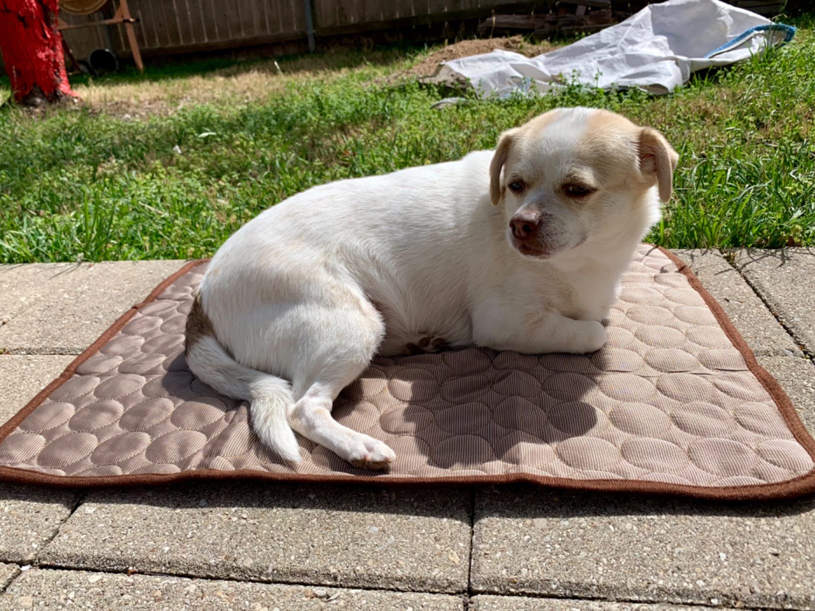 CoolPup Pad™ Pet Colling Pad