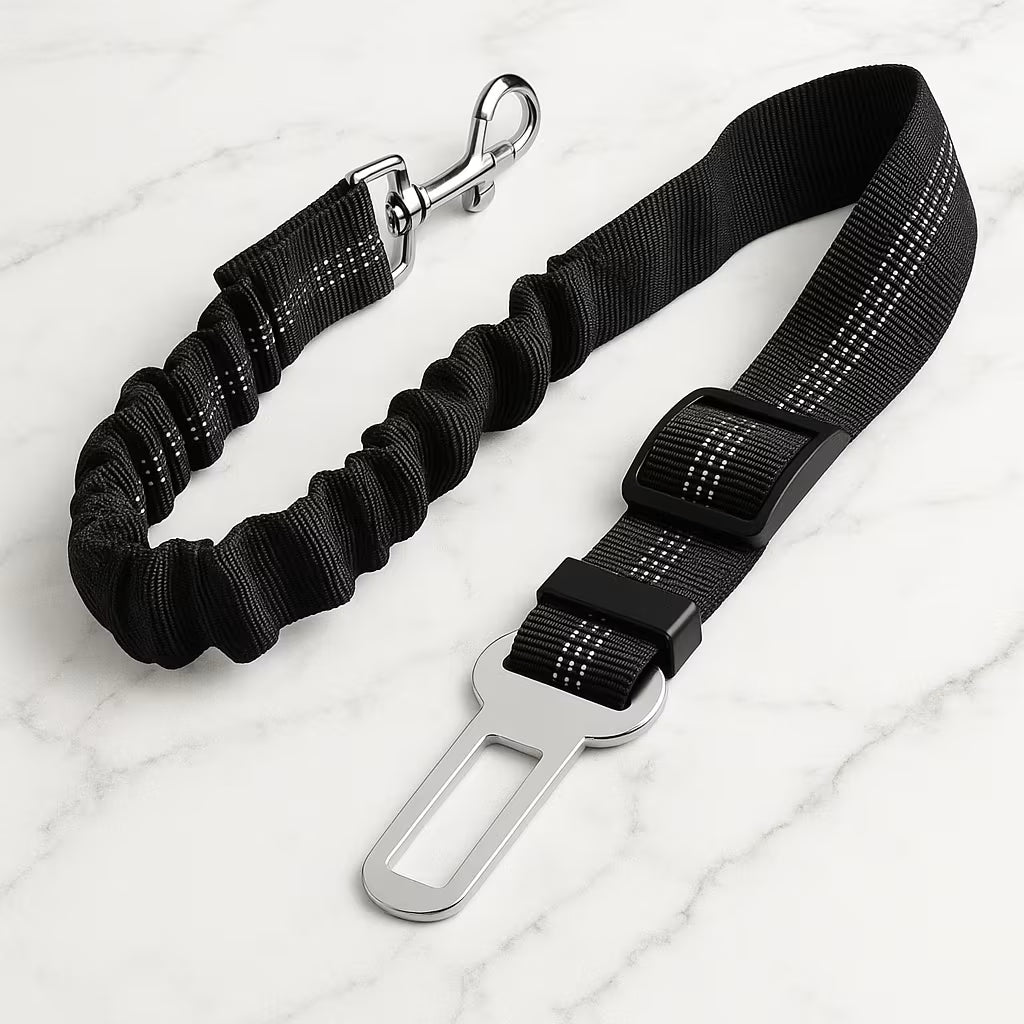 PetBuckle™