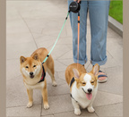 TwinTrail™ Dog Leash For Two Pets