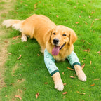 PupCover Leg Sleeve