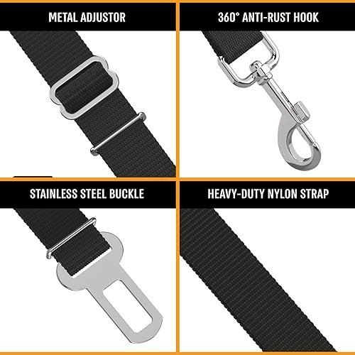 PetBuckle™