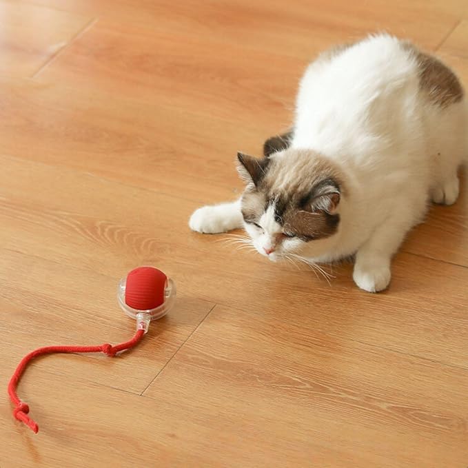 TwistTail™ Pet Play Chase Ball