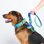 No-Pull tactical leash