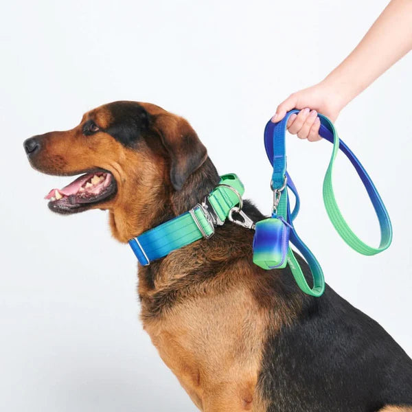 No-Pull tactical leash