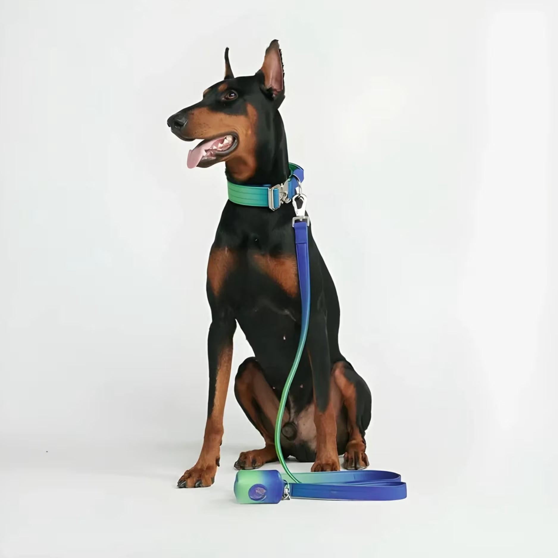 No-Pull tactical leash