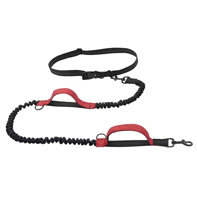 Pawtugz  extra leash for 2 Dogs