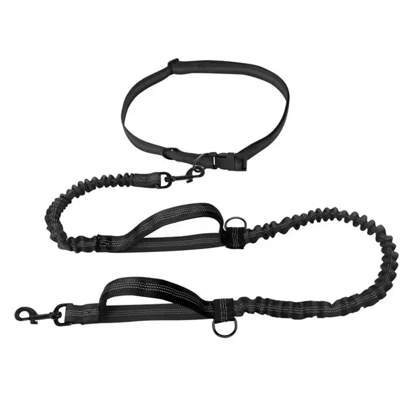 Pawtugz  extra leash for 2 Dogs