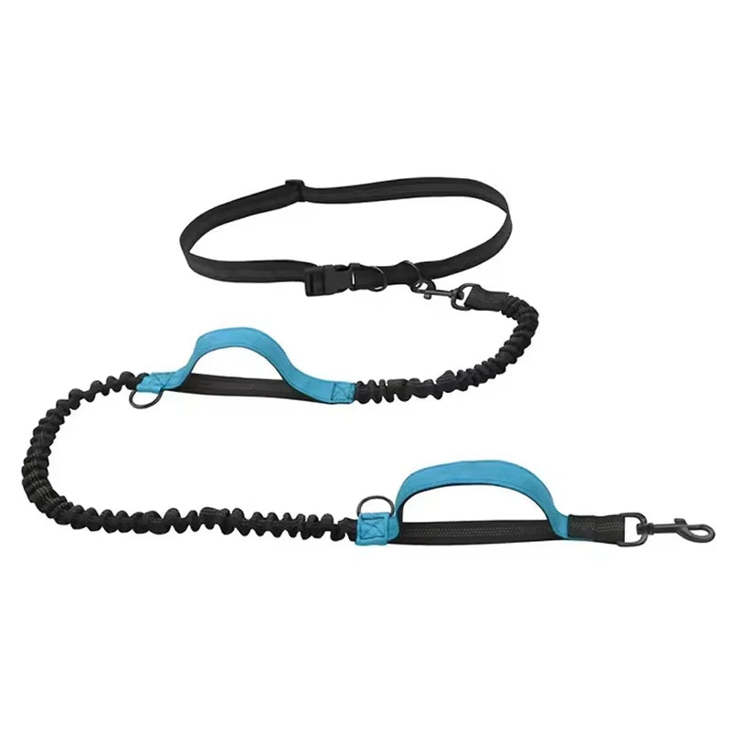 Pawtugz  extra leash for 2 Dogs