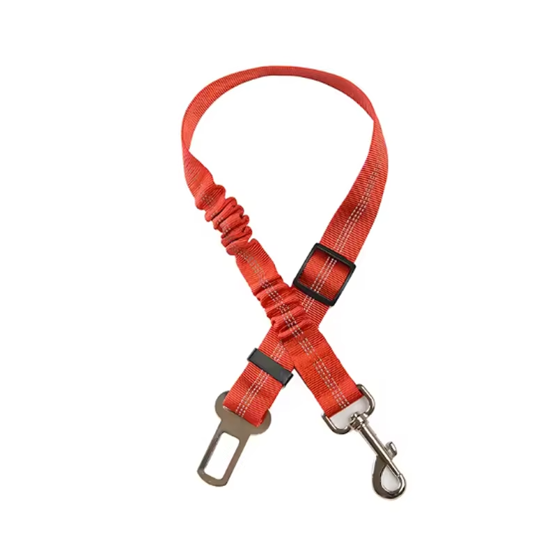 PetBuckle™
