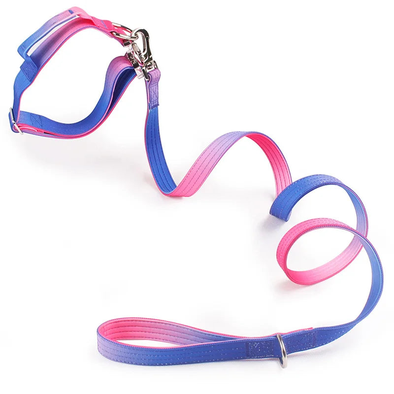 No-Pull tactical leash