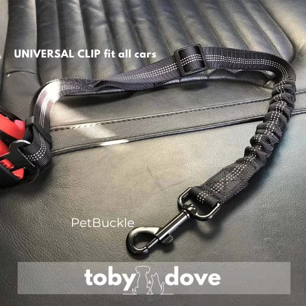 PetBuckle™