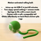 TwistTail™ Pet Play Chase Ball