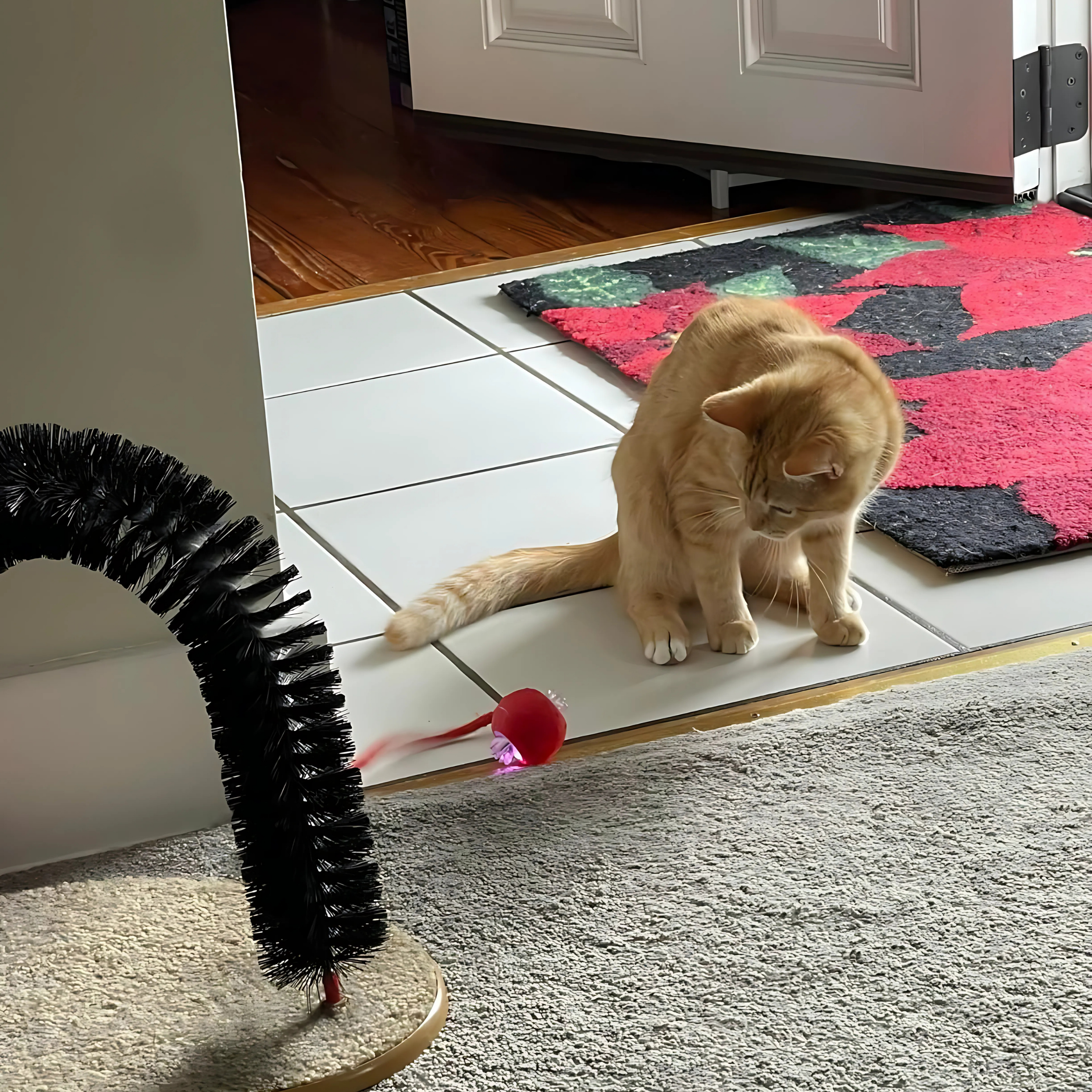 TwistTail™ Pet Play Chase Ball